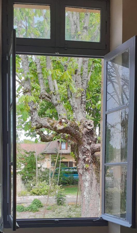 Le Petit Figuier Villa Villefranche-du-Périgord Dış mekan fotoğraf