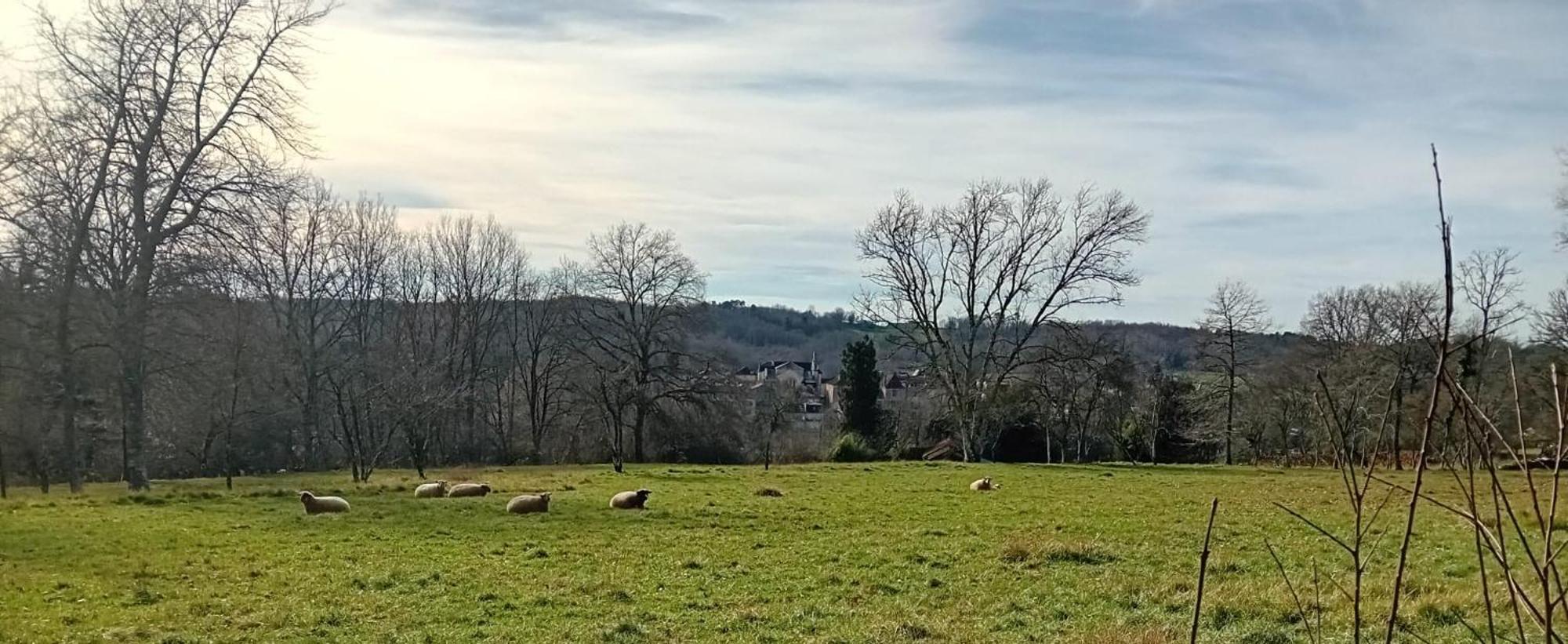 Le Petit Figuier Villa Villefranche-du-Périgord Dış mekan fotoğraf